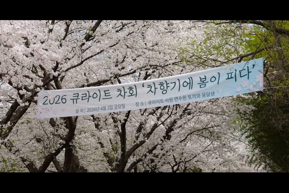 2026 Qlight Tea Gathering – Spring Blooms in the Fragrance of Tea