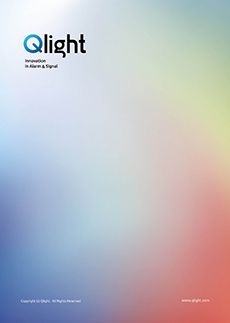 Company Introduction