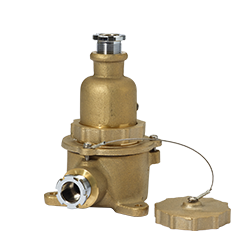 리셉터클 / 플러그