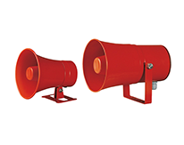 loạt phim sn/sehn